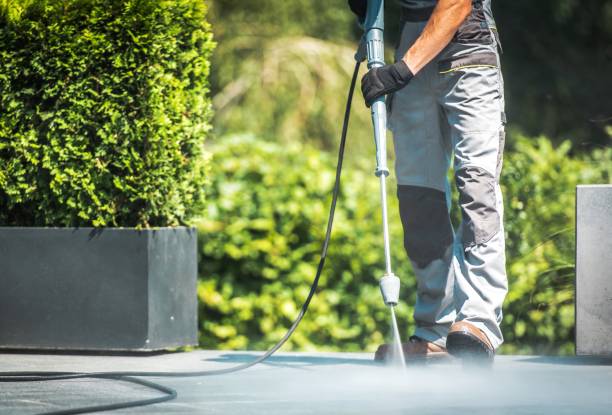Best Soft Washing for Delicate Surfaces in Cape Carteret, NC